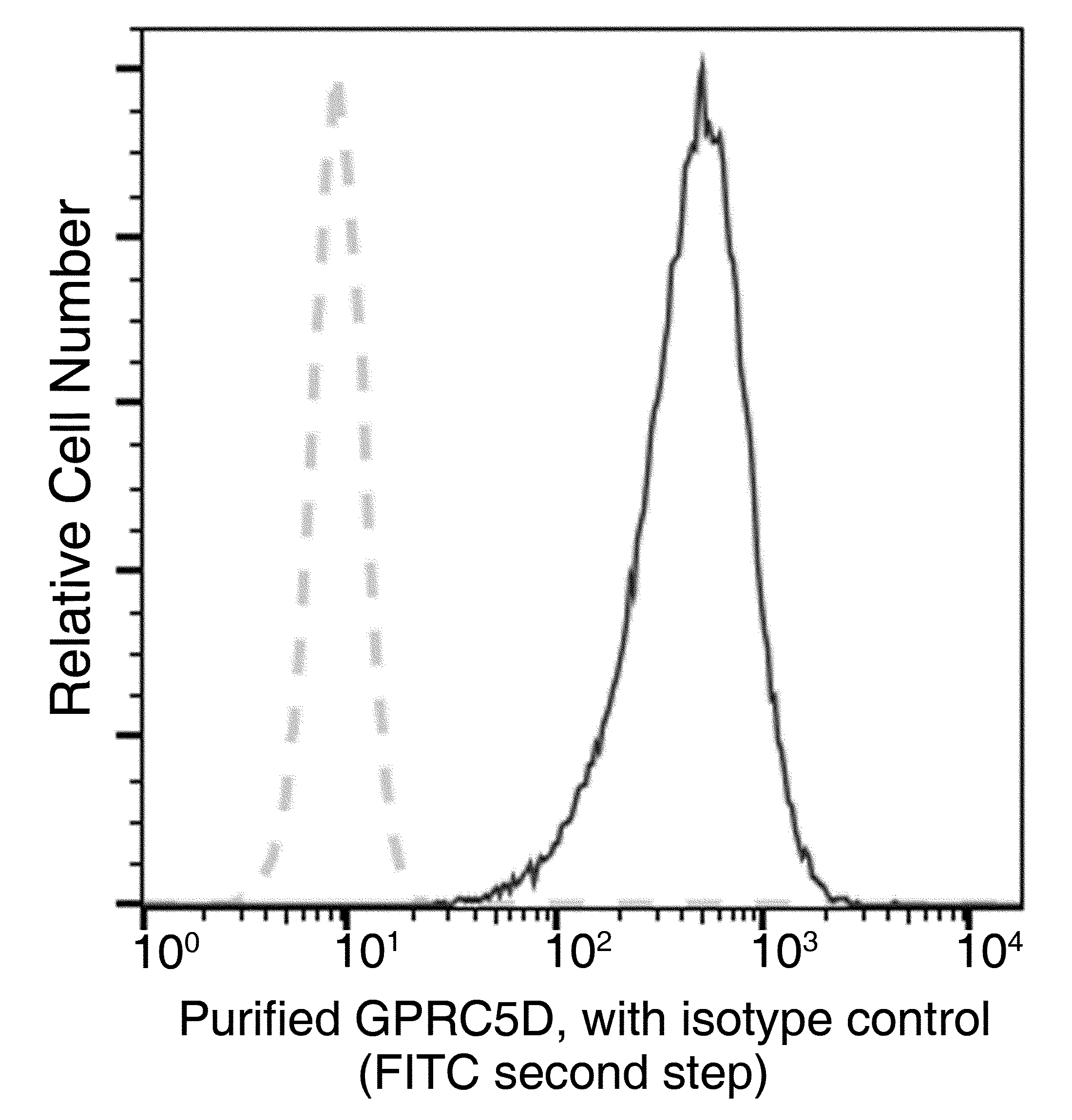 GPRC5D Antibody (12) - Azide and BSA Free