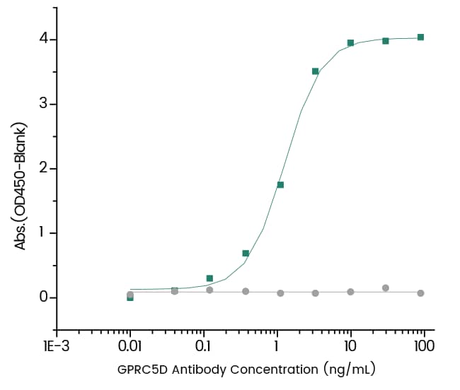 GPRC5D Antibody (12) - Azide and BSA Free