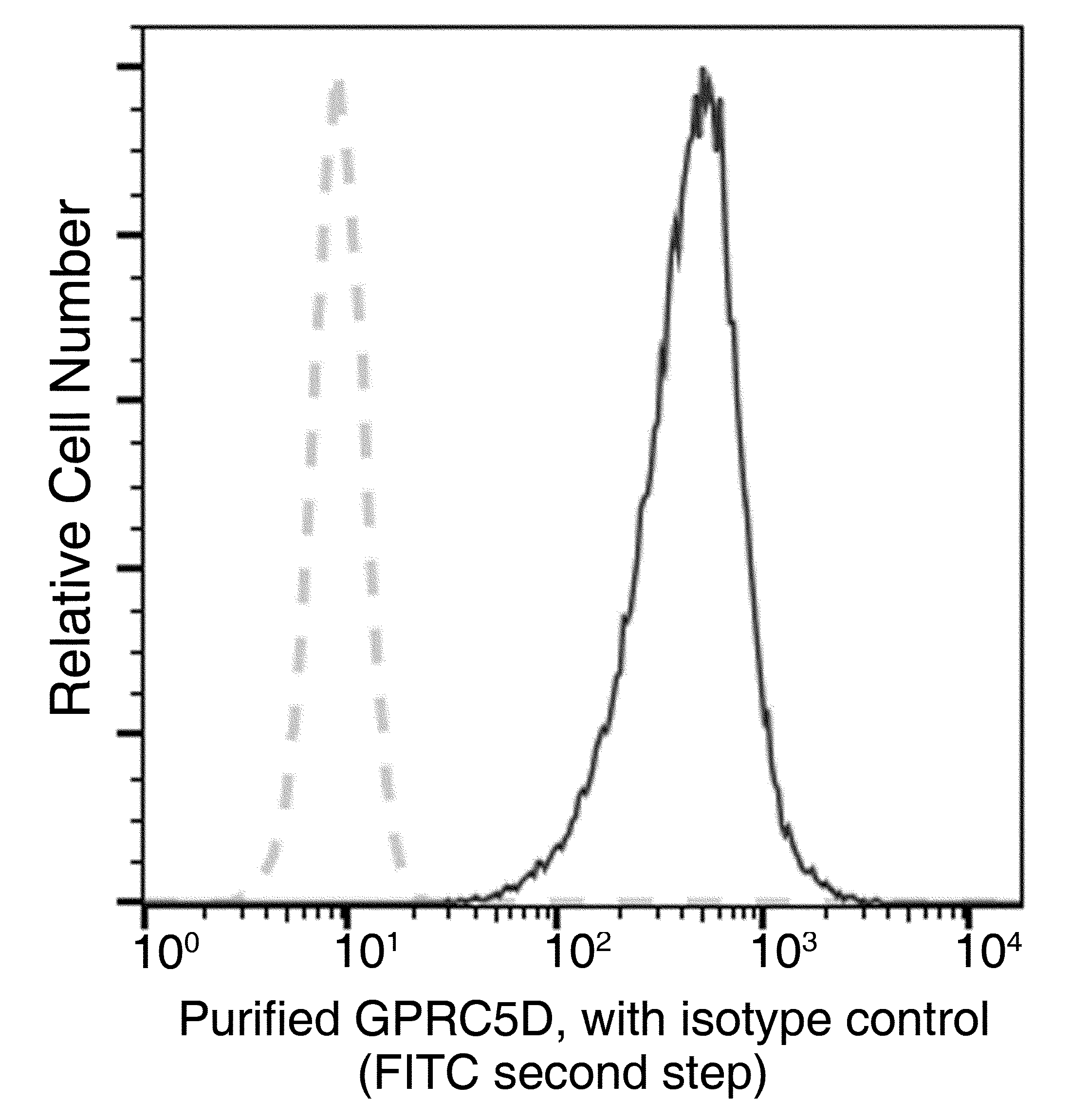 GPRC5D Antibody (19) - Azide and BSA Free
