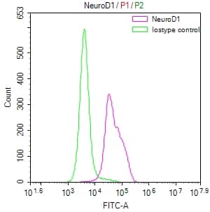 NeuroD1 Antibody (5D2)