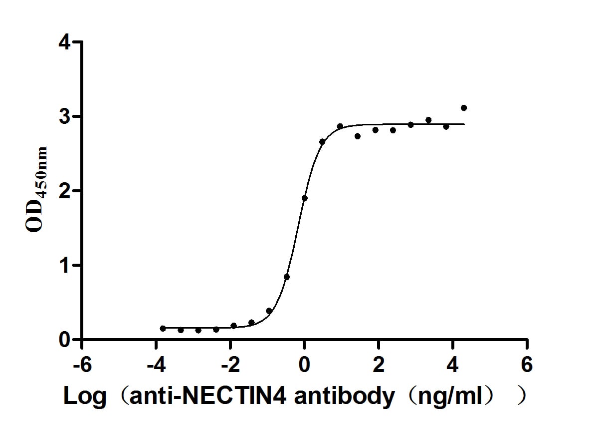 Nectin-4/PVRL4 Antibody (6D3)