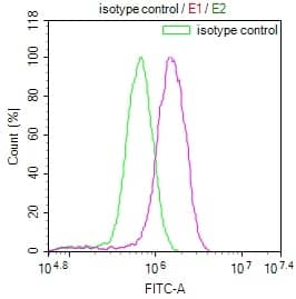 Ndufs4 Antibody (9H1)