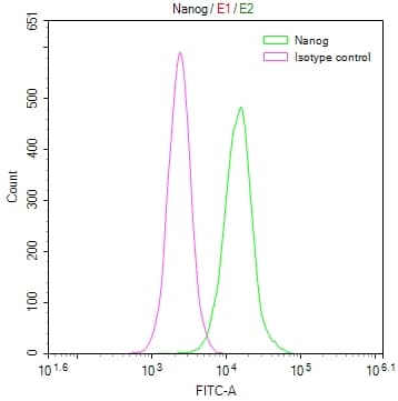 Nanog Antibody (2G6)