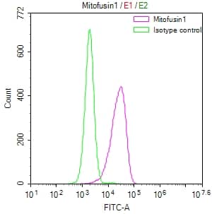 Mitofusin 1 Antibody (11G8)