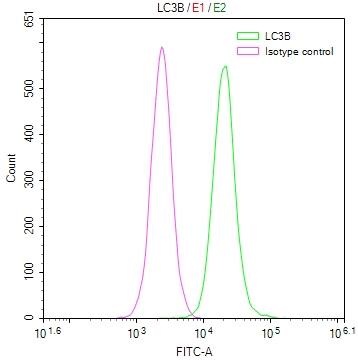 LC3B Antibody (7D11)