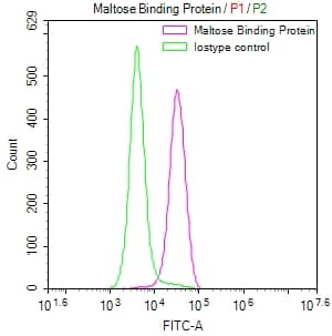 Maltose Binding Protein Antibody (10F2)