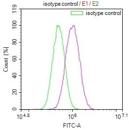 MAdCAM-1 Antibody (12B5)