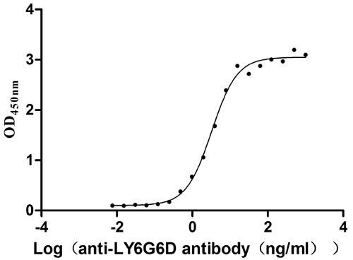 Gr-1/Ly-6G Antibody (8I8)