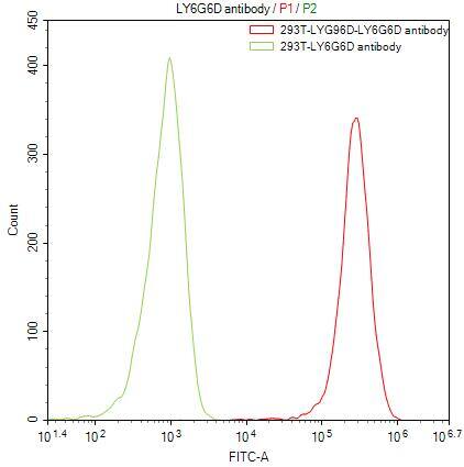 Gr-1/Ly-6G Antibody (8I8)