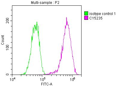 LDLR Antibody (2B10)