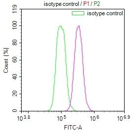 Lactate Dehydrogenase C Antibody (9F2)