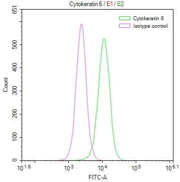 Cytokeratin 6a Antibody (21E2)