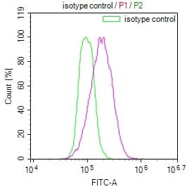 Integrin alpha 6/CD49f Antibody (4G10)