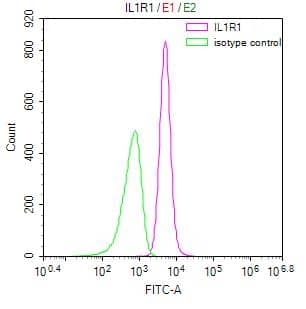 IL-1 RI Antibody (10E2)