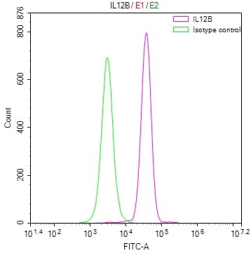 IL12B Antibody (10B10)