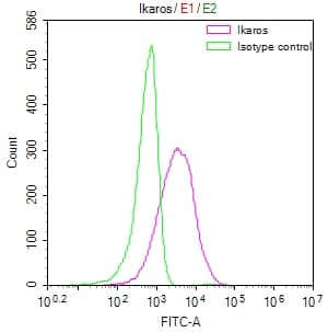 Ikaros/IKZF1 Antibody (21E9)