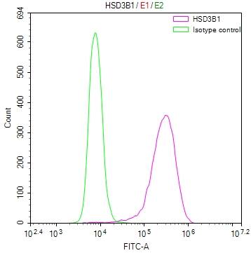 HSD3B1 Antibody (10G2)