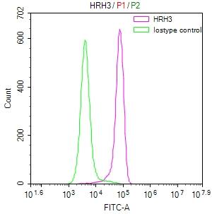 Histamine H3R Antibody (27H8)