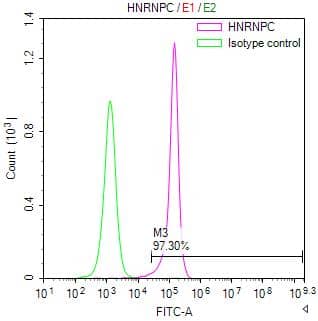 hnRNP C1 + C2 Antibody (9G1)