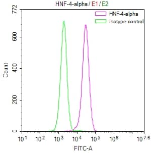 HNF-4 alpha/NR2A1 Antibody (10A7)