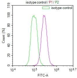 HMGCL Antibody (22H11)