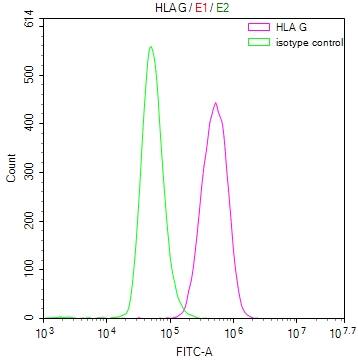 HLA G Antibody (17A5)