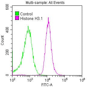 Histone H3.1 Antibody (27F2)