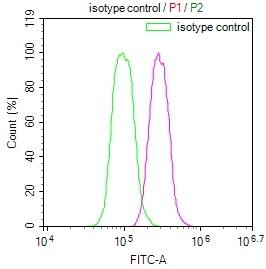 FIH-1/HIF-1AN Antibody (12F11)