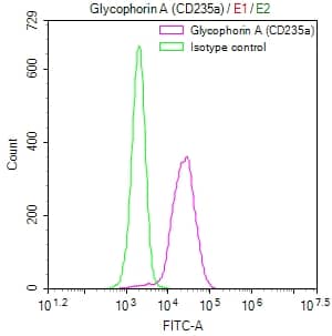 Glycophorin A Antibody (27A8)