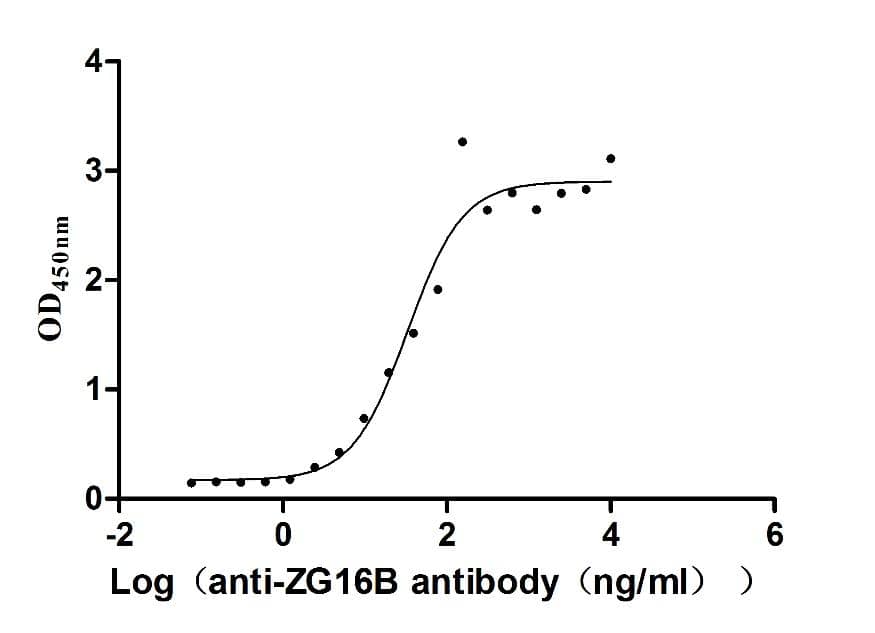 PAUF/ZG16B Antibody (6E5)