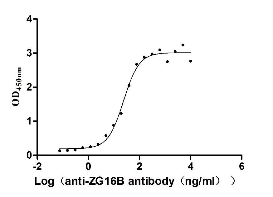 PAUF/ZG16B Antibody (6E5)