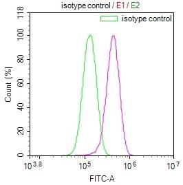 USP24 Antibody (11E3)