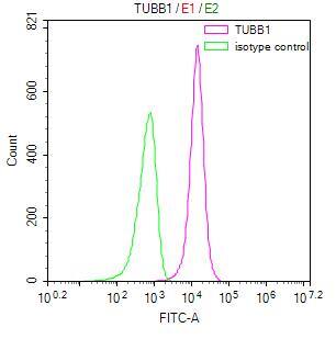 beta I Tubulin Antibody (16E2)