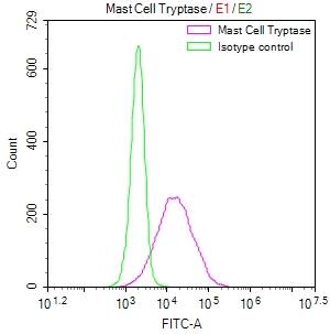 Tryptase beta-2/TPSB2 Antibody (9H6)