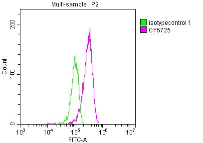 Topoisomerase I Antibody (6D8)