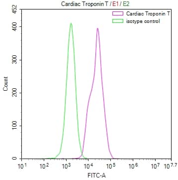 Troponin T Type 2 (cardiac) Antibody (8H8)