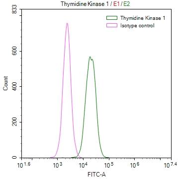 Thymidine Kinase 1 Antibody (6F6)