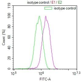 TBK1 Antibody (14D10)