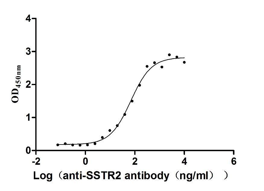 Somatostatin R2/SSTR2 Antibody (7A9)