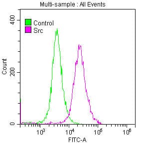 Src Antibody (21H5)