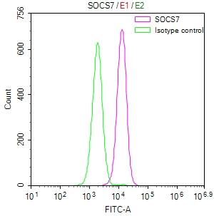 SOCS-7/Nck/NAP4 Antibody (23E4)