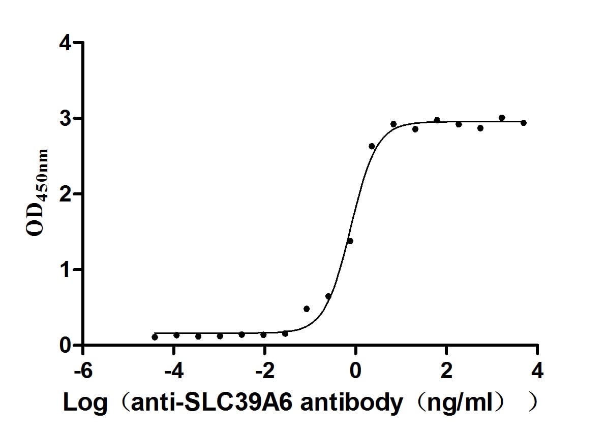 LIV-1/Zip6 Antibody (13F1)