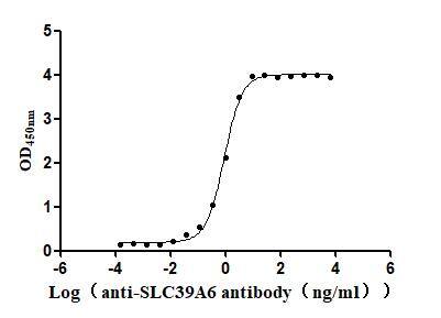 LIV-1/Zip6 Antibody (13F1)