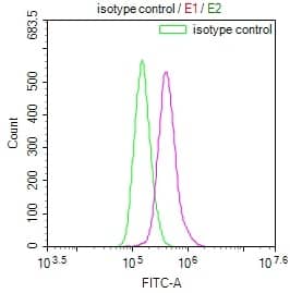 Glut3 Antibody (14B1)