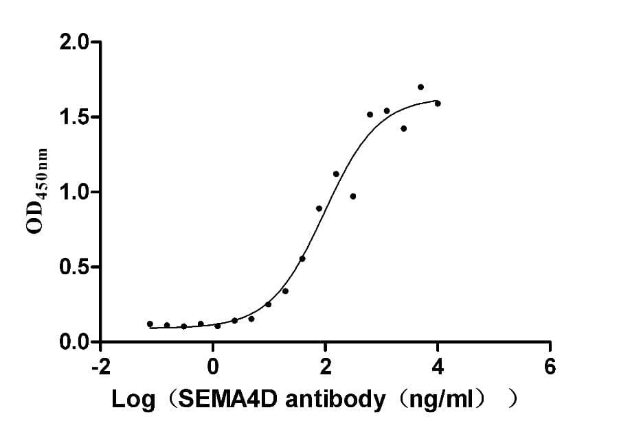 Semaphorin 4D/CD100 Antibody (5D12)