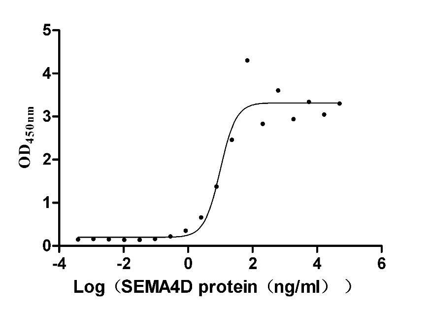 Semaphorin 4D/CD100 Antibody (5D12)