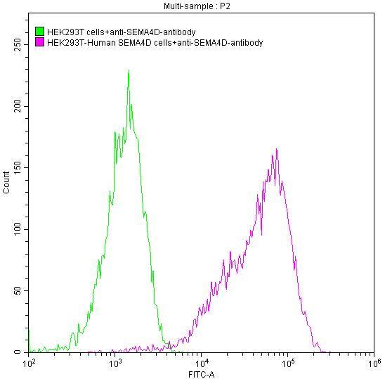 Semaphorin 4D/CD100 Antibody (5D12)