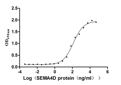 Semaphorin 4D/CD100 Antibody (21E8)