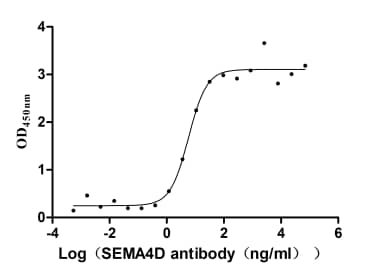 Semaphorin 4D/CD100 Antibody (21E8)