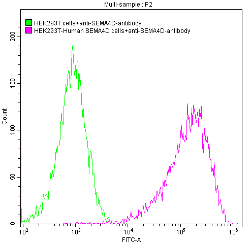 Semaphorin 4D/CD100 Antibody (21E8)